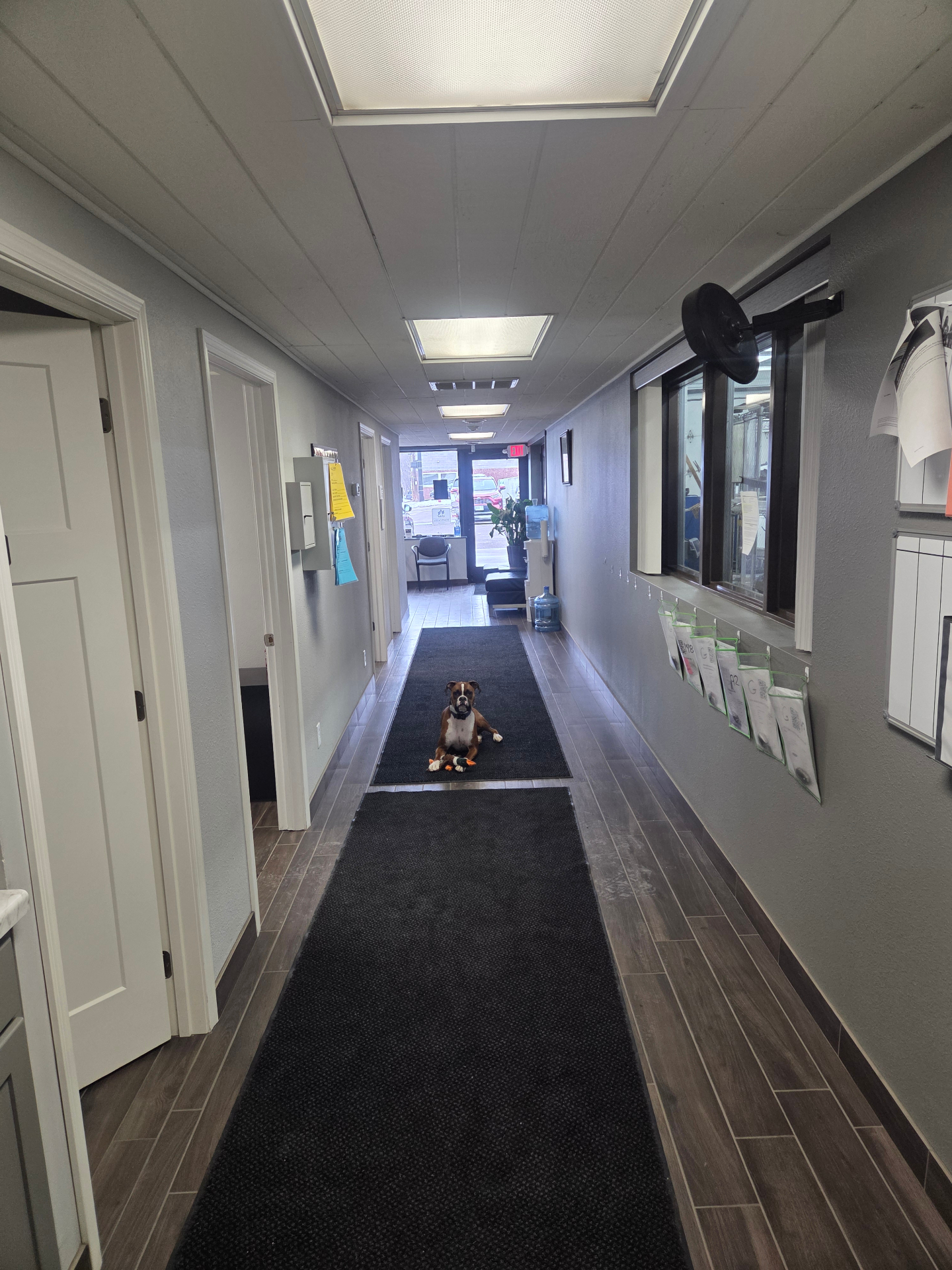 Superior Auto Body team in Eau Claire, Wisconsin